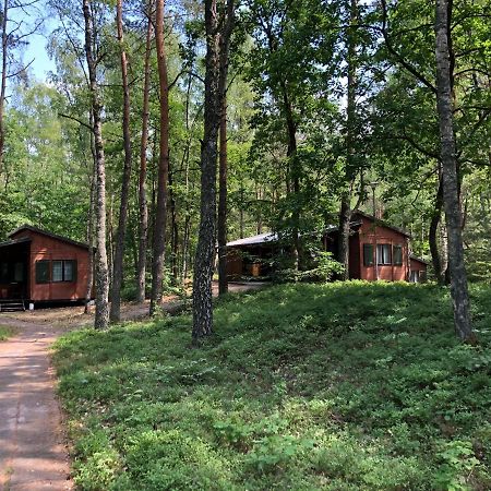 Lesnik Bungalow Stegna - Domki Letniskowe Nad Morzem Eksteriør billede
