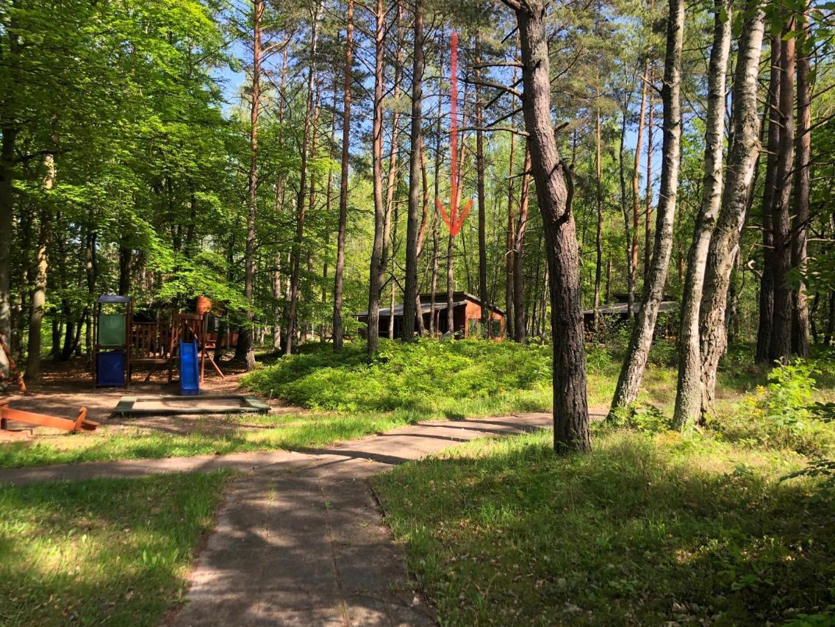 Lesnik Bungalow Stegna - Domki Letniskowe Nad Morzem Eksteriør billede