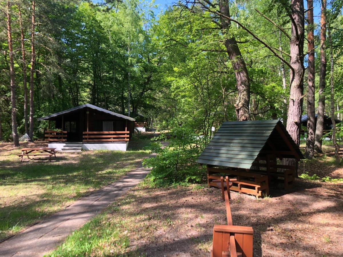 Lesnik Bungalow Stegna - Domki Letniskowe Nad Morzem Eksteriør billede