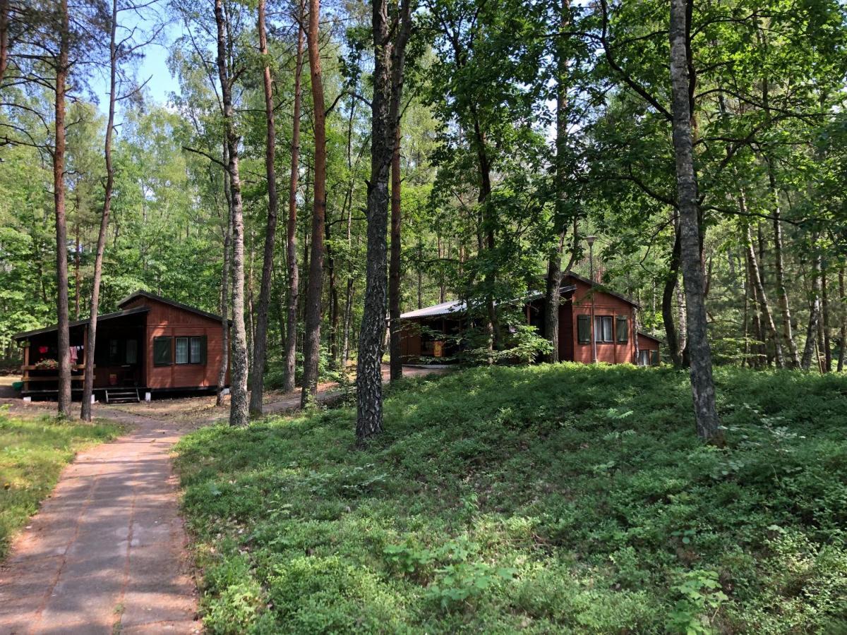 Lesnik Bungalow Stegna - Domki Letniskowe Nad Morzem Eksteriør billede